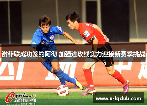 谢菲联成功签约阿彻 加强进攻线实力迎接新赛季挑战
